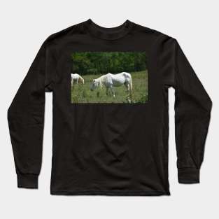 Wild Horse Long Sleeve T-Shirt